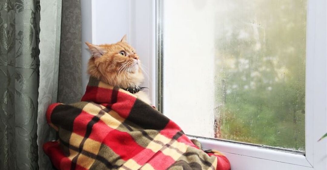 Картинки по запросу Без морозов и снега: синоптики уточнили прогноз погоды в Украине