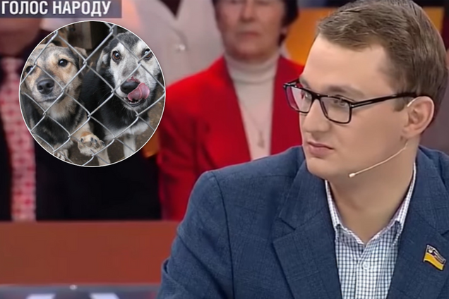 'Позорище!' Украинцы разгромили скандального 'слугу народа' за 'собачий' совет
