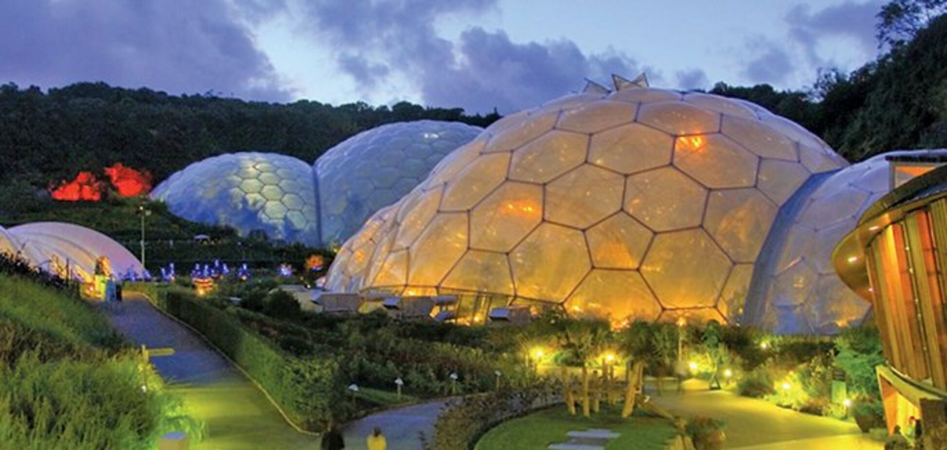 Еда на энергии солнца: в США ученые рассказали о смелой разработке