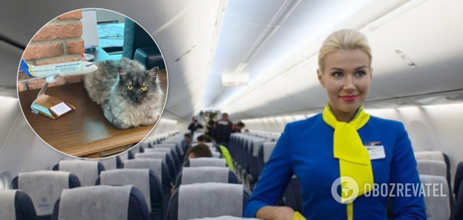 МАУ разрешили брать в салон самолета животных