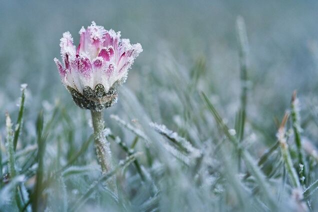 Климатолог предупредила об аномальном морозе весной