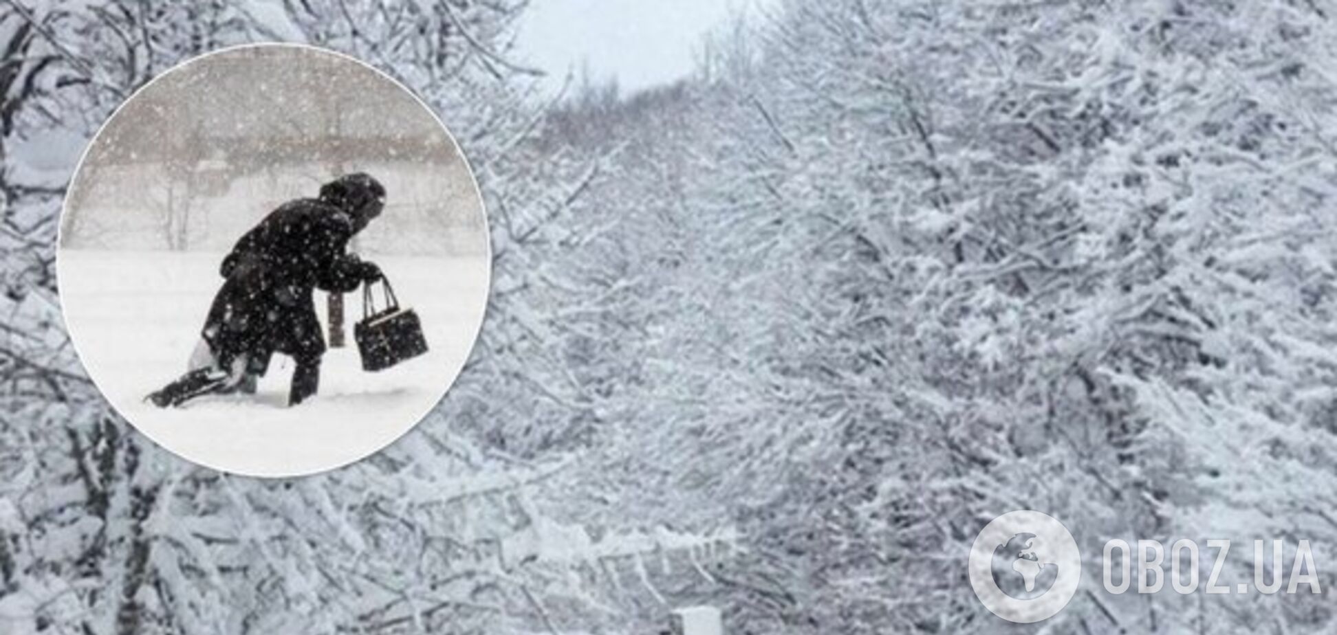 На Україну звалилася снігова буря: синоптики оголосили штормове попередження