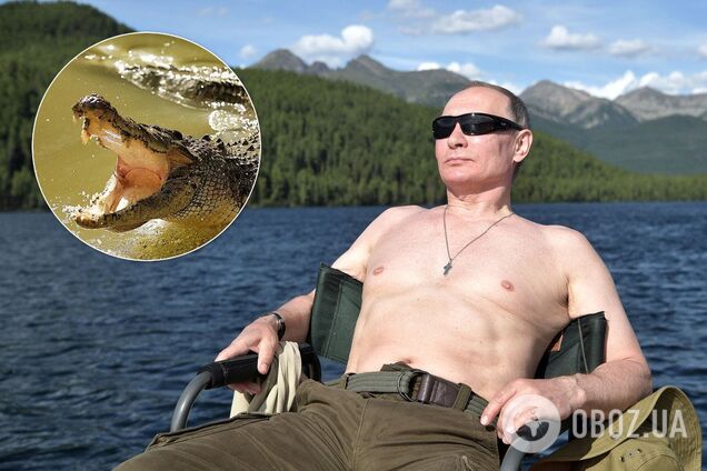Владимир Путин, крокодил, коллаж