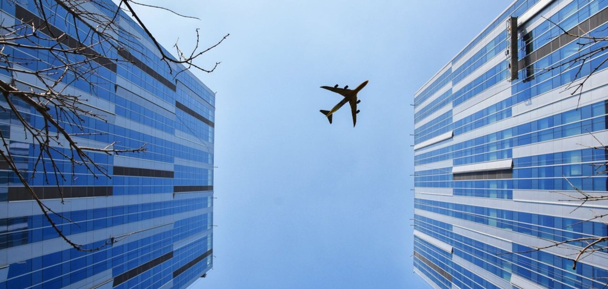 Стюардесса назвала продукты, от которых лучше отказаться в самолете