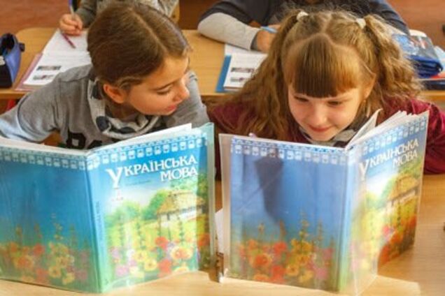 'Туалетний папір важливіший': педагог дорікнув школам за байдуже вивчення української мови