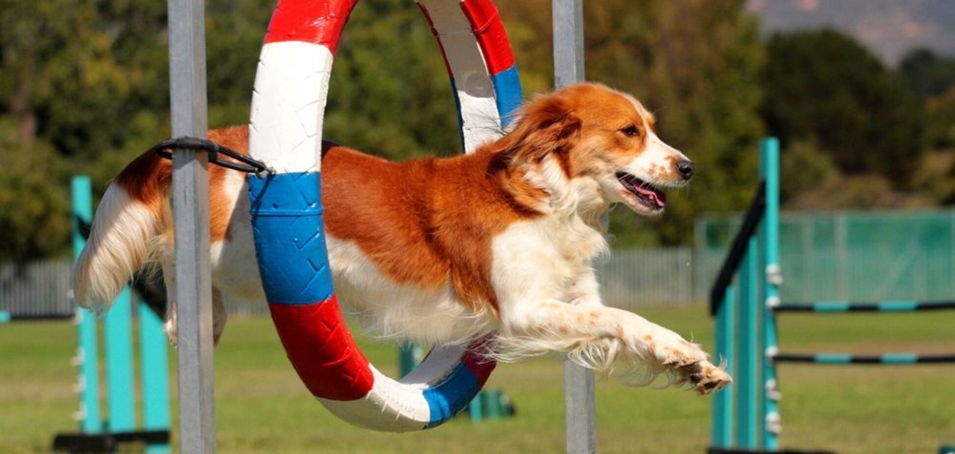 Українська суддя поїхала в РФ представляти 'ДНР': з'явилися фото