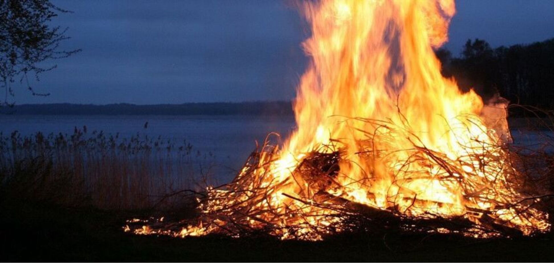 На Дніпропетровщині поліцейський наколов собаку на вила й кинув у багаття