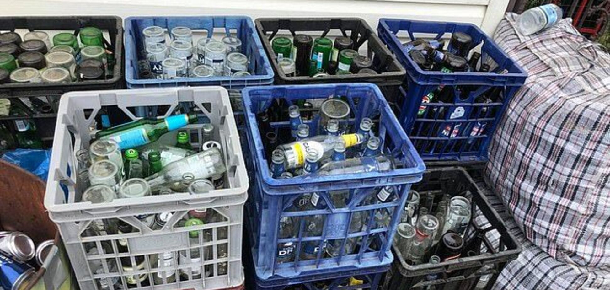 Збирали пляшки: пара з Автралії заробила тисячі доларів на весілля