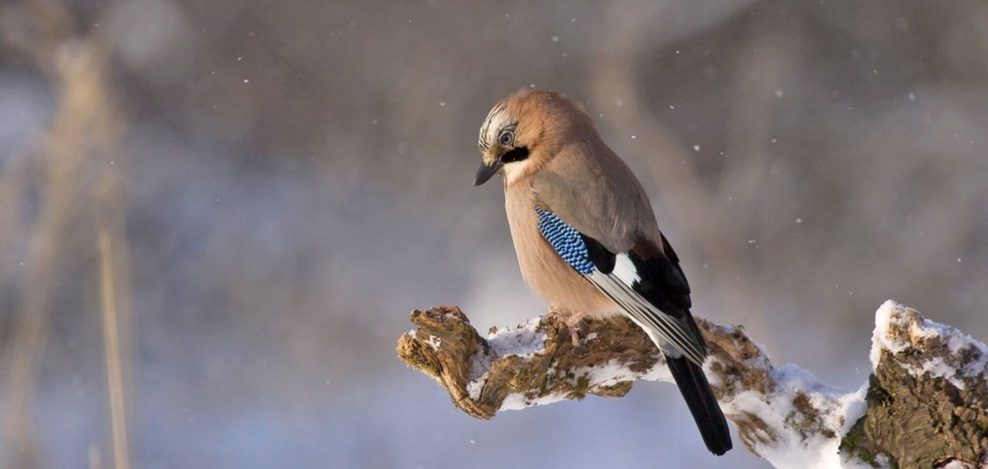 Приметы и праздники 4 февраля: что нельзя делать в этот день