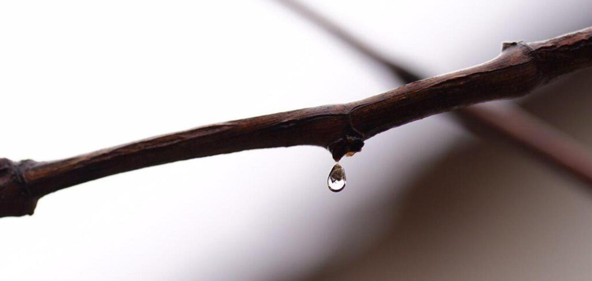 Синоптики дали мокрий прогноз погоди на 4 лютого в Одесі