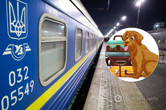 'Чтобы собачка не потерялась!' 'Укрзалізниця' рассмешила сеть новой услугой для пассажиров
