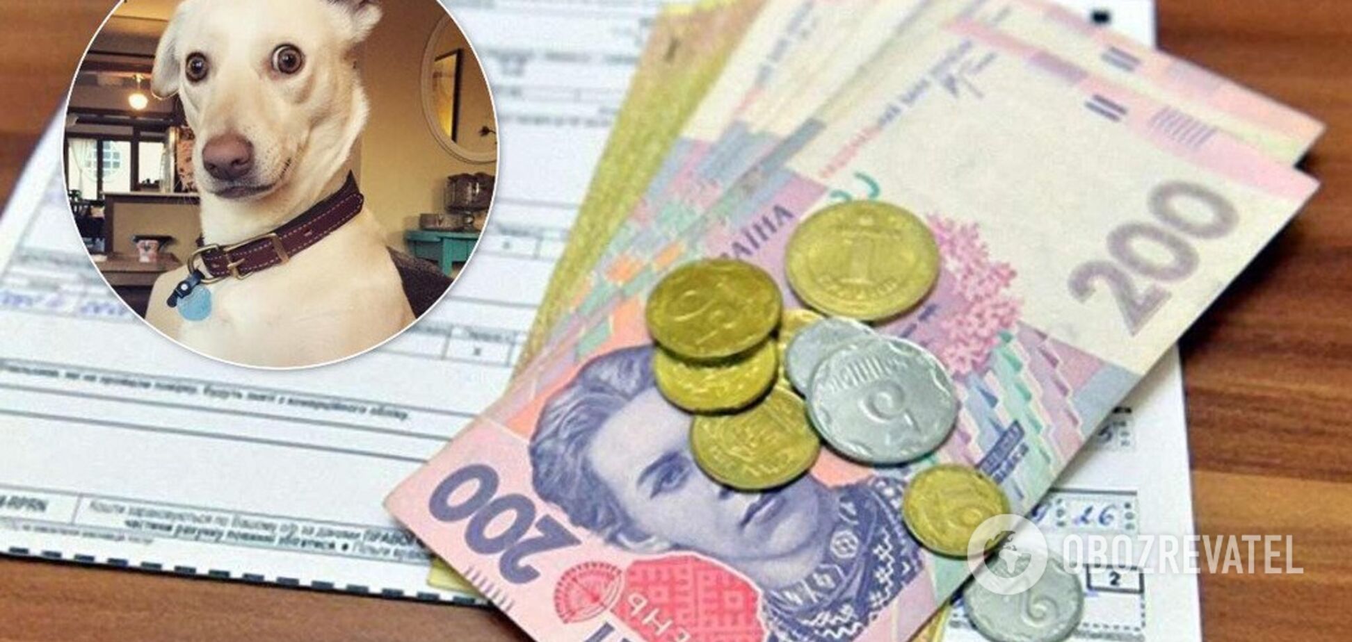 Собаку продавати не потрібно: у Кабміні назвали суму в платіжках пенсіонерки