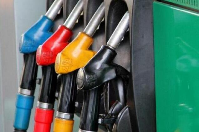 Куюн раскритиковал ввод пошлин на ввоз топлива в Украину