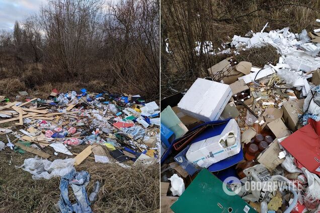 Заваленный мусором Киев