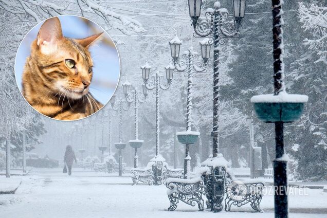 В Україну йдуть 13-градусні морози: Гідрометцентр назвав дату