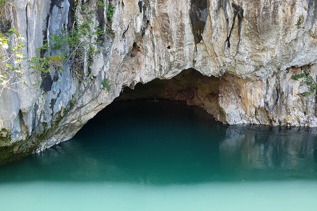 Семь лет не двигалась с места: в Боснии и Герцеговине обнаружили уникальное животное