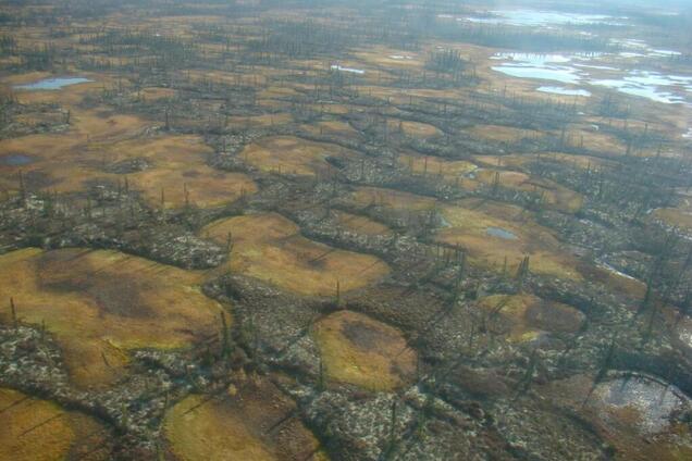 'Арктика изменится за месяц': ученые сделали пугающее предсказание