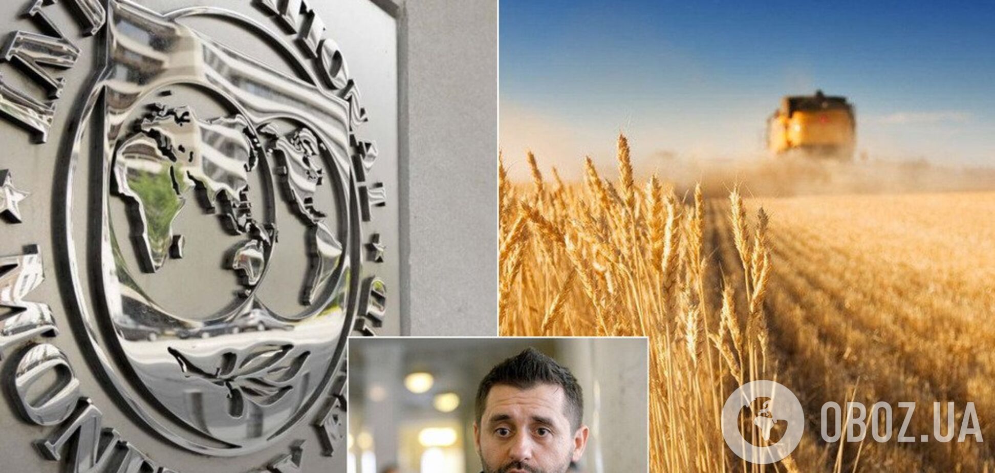 'Это их дело!' Арахамия жестко ответил о реакции МВФ на рынок земли