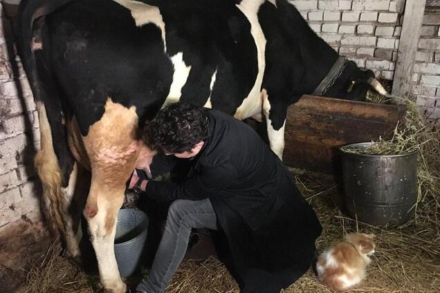 'Давай, Малютка, давай!' Появилось видео, как Шуров доит корову