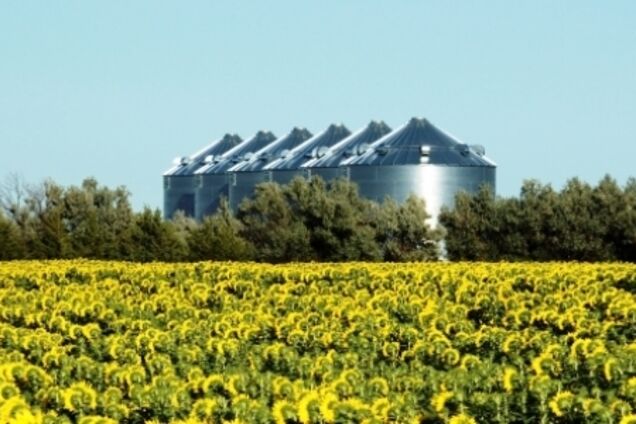 'Підрив імперії нафти': як біопаливо та електромобілі змінять обличчя планети