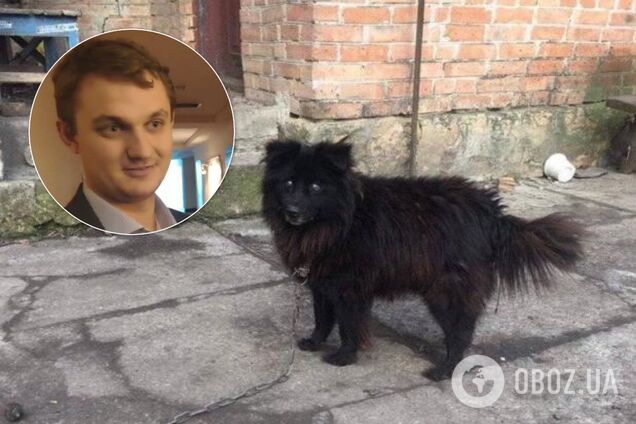 'Обычная трехмастная!' Брагар впервые прокомментировал 'собачий' скандал