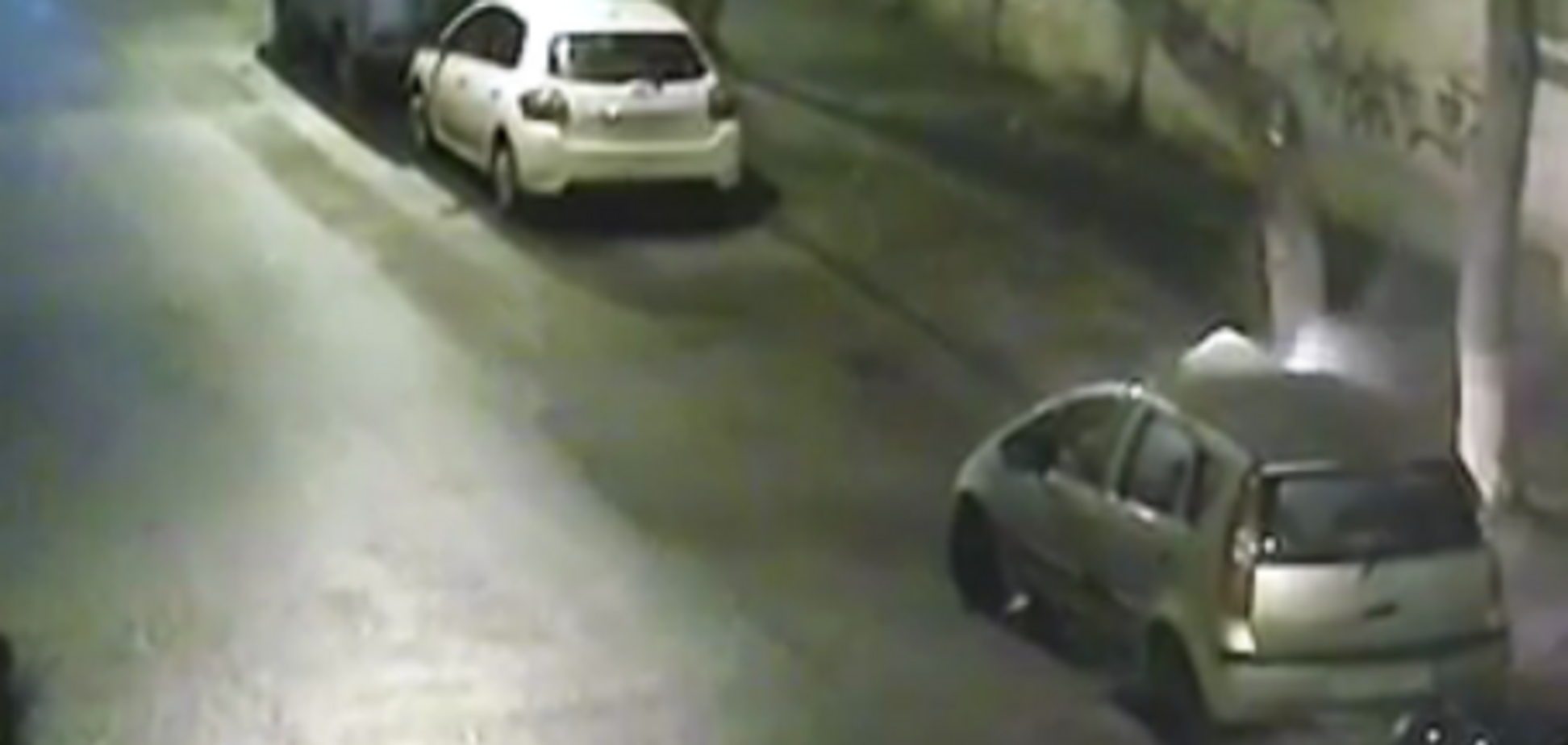 Підпал авто Галини Терещук