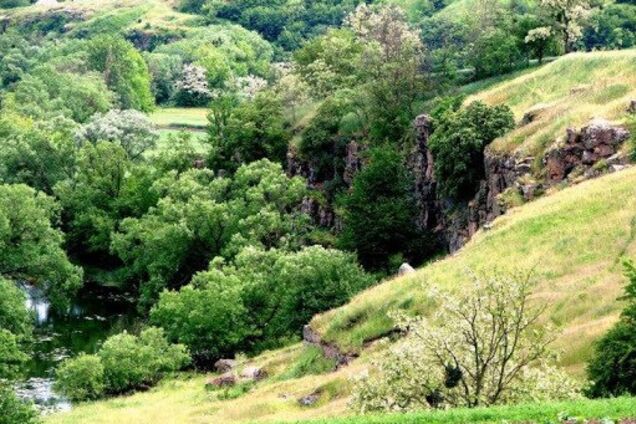 Фермер на Черкасщине присвоил часть заповедника: прокуратура требует вернуть землю