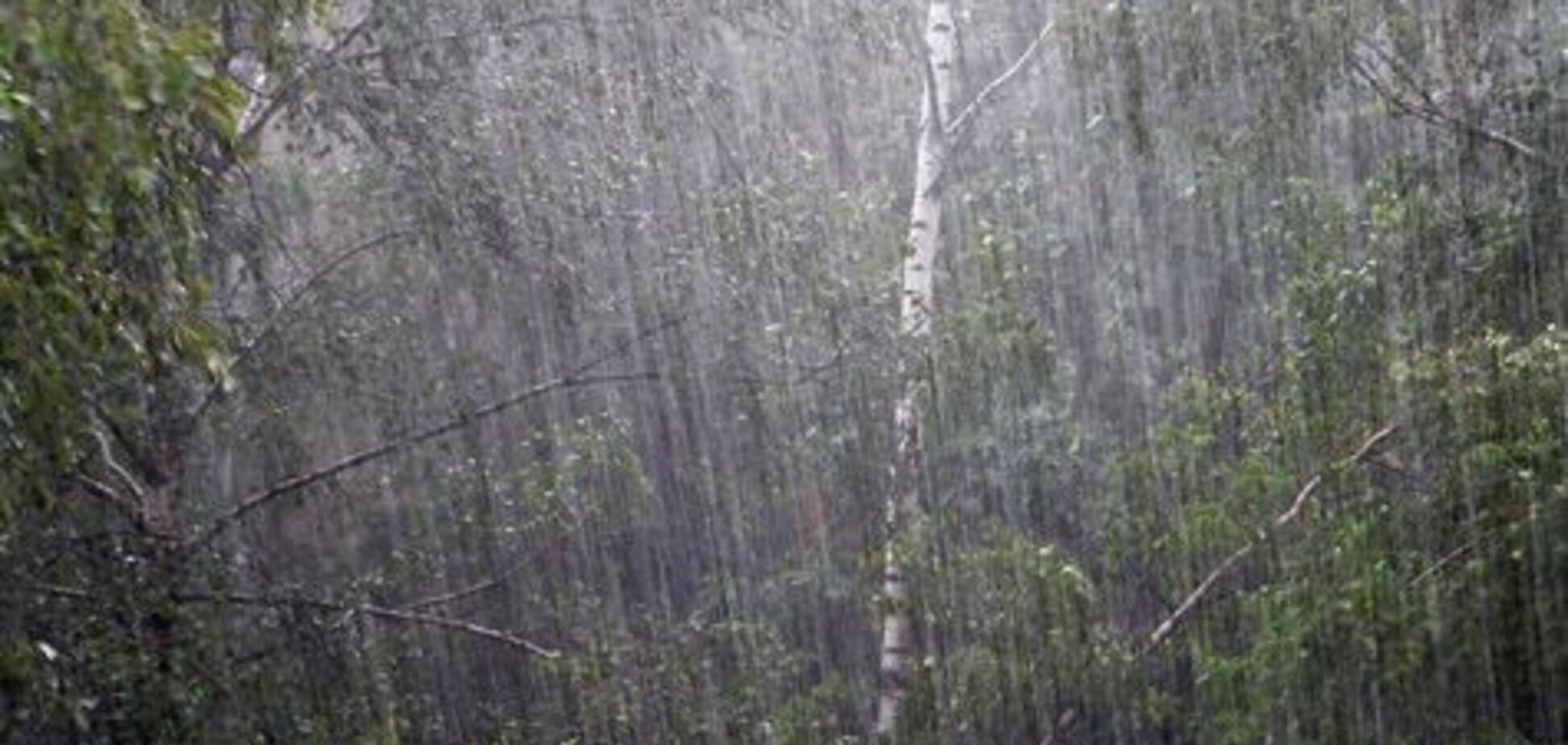 Жара и страшные ливни: климатолог испугал прогнозом погоды в Украине