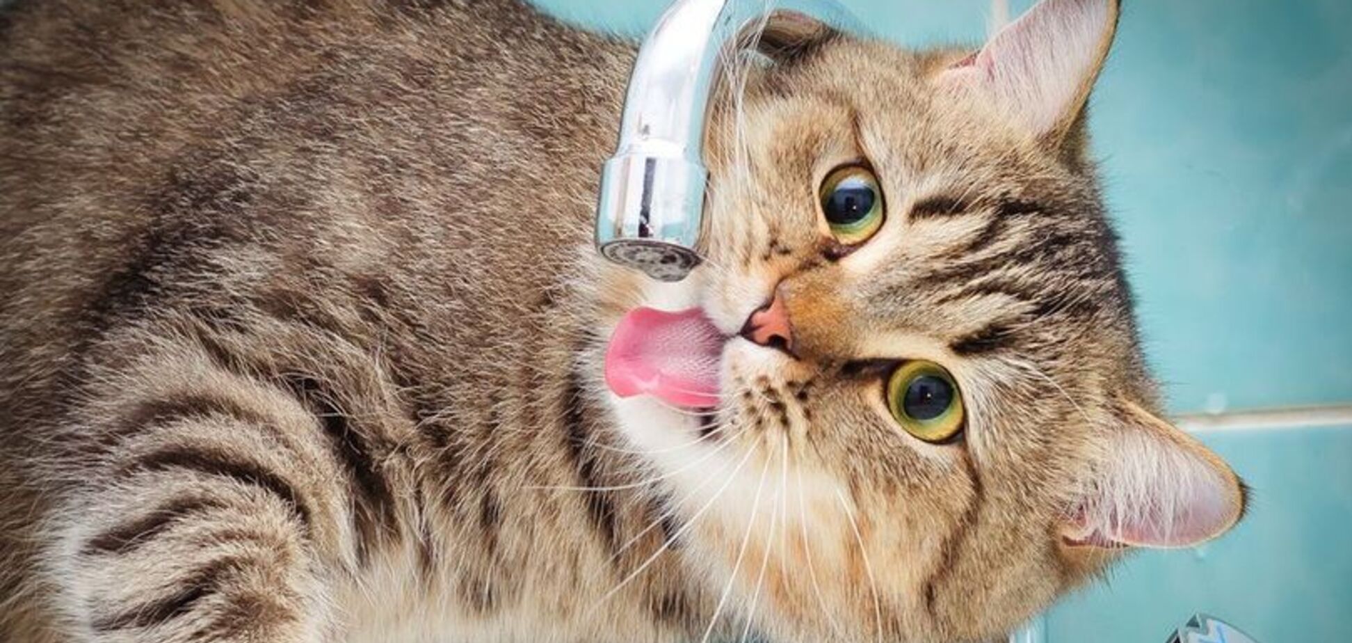 У Дніпрі кілька вулиць залишаться без води: кого торкнеться