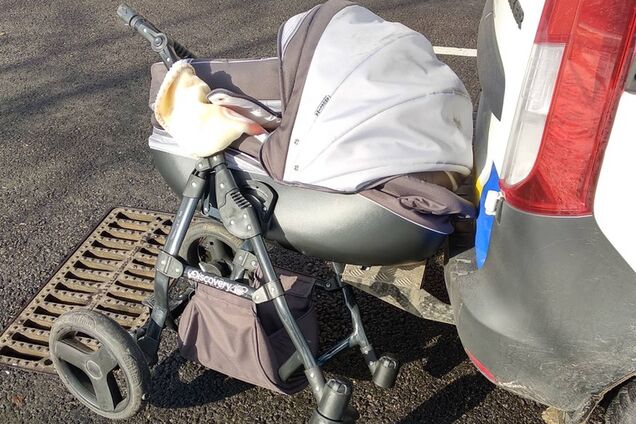 Под Запорожьем водитель сбил коляску с ребенком на 'зебре': жуткое видео 18+