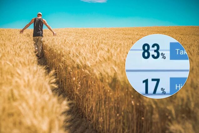 Рынок земли: украинцы поддержали легализацию и референдум