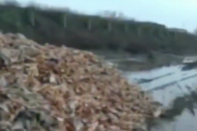 Гниют тысячи трупов: под Днепром образовалось огромное кладбище