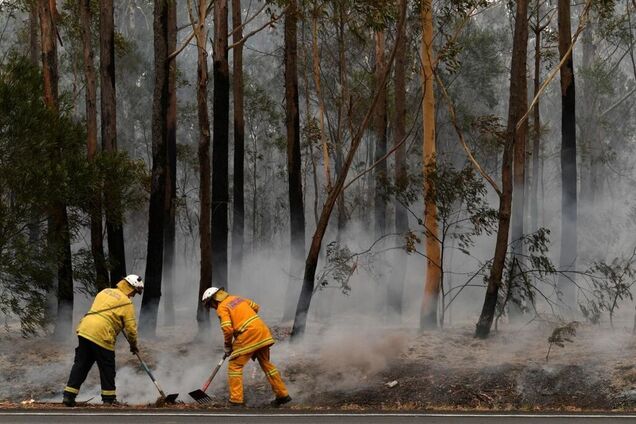 Пожежі в Австралії загасила надсильна злива: країна готується до нового лиха