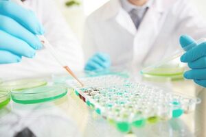 Расшифровка биохимических показателей ликвора