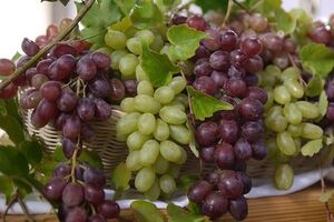 Аллерген на виноград