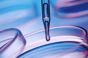 Т4 свободный