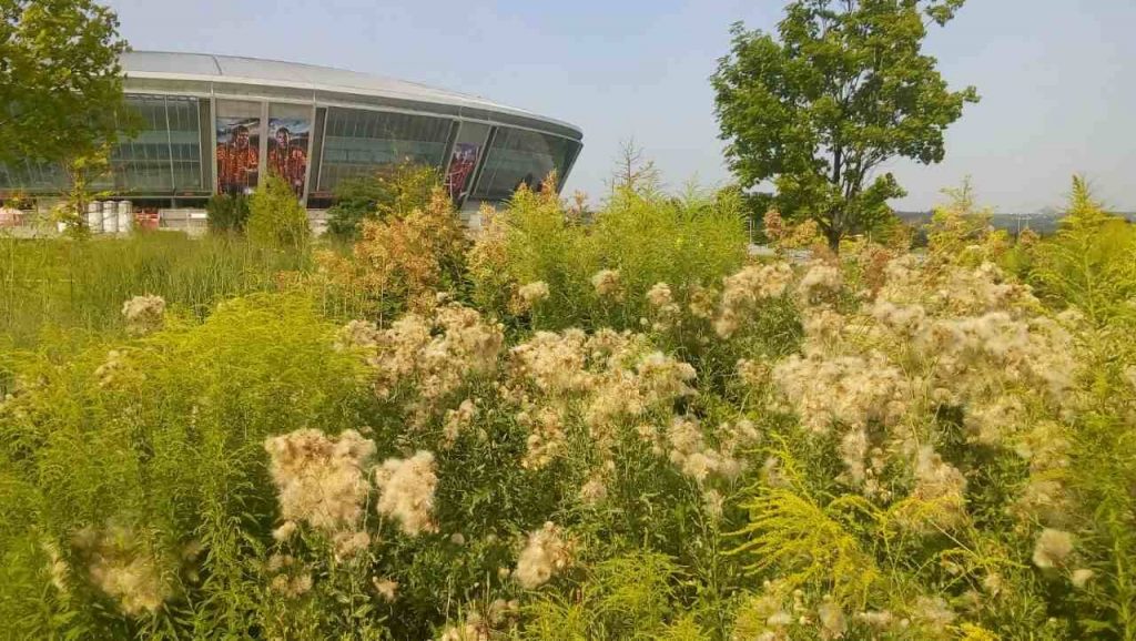 Как банда Захарченко убивает Донецк