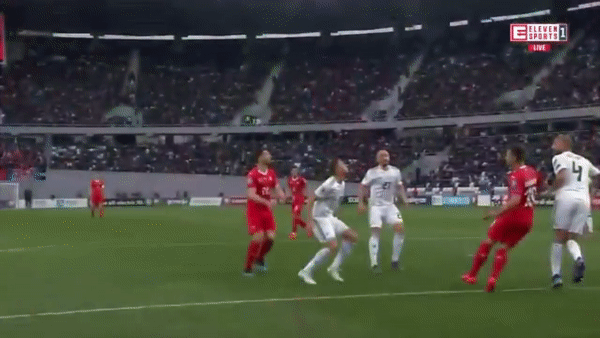 Рухнул на газон: в матче отбора на Евро-2020 случился кошмарный инцидент - видеофакт