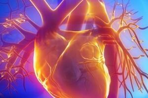 Коарктация аорты: причины возникновения и основные симптомы, способы лечения заболевания