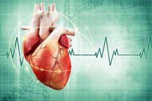 Внезапная сердечная смерть: причины возникновения и основные симптомы, способы лечения заболевания
