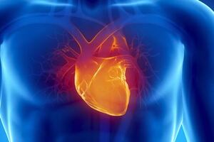 Острый инфаркт миокарда: причини виникнення та основні симптоми, способи лікування захворювання