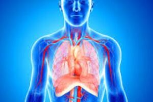 Стеноз легочной артерии: причины возникновения и основные симптомы, способы лечения заболевания