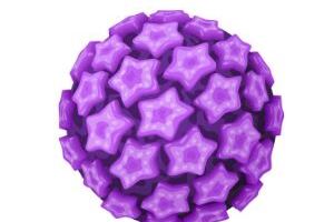 Вирус папилломы человека (ВПЧ): причины возникновения и основные симптомы, способы лечения заболевания