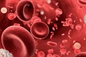 Острый лимфобластный лейкоз: причины возникновения и основные симптомы, способы лечения заболевания