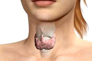 Аденома щитовидной железы: причины возникновения и основные симптомы, способы лечения заболевания