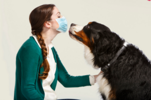 Аллергия на домашних животных: причини виникнення та основні симптоми, способи лікування захворювання