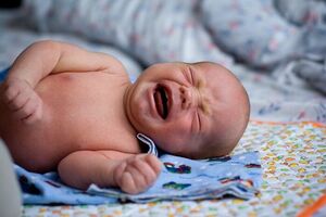 Врожденный токсоплазмоз: причини виникнення та основні симптоми, способи лікування захворювання