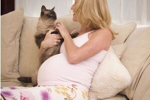 Токсоплазмоз при беременности: причини виникнення та основні симптоми, способи лікування захворювання
