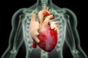 Диабетическая кардиомиопатия: причини виникнення та основні симптоми, способи лікування захворювання