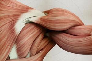 Миотония Томсена: причини виникнення та основні симптоми, способи лікування захворювання